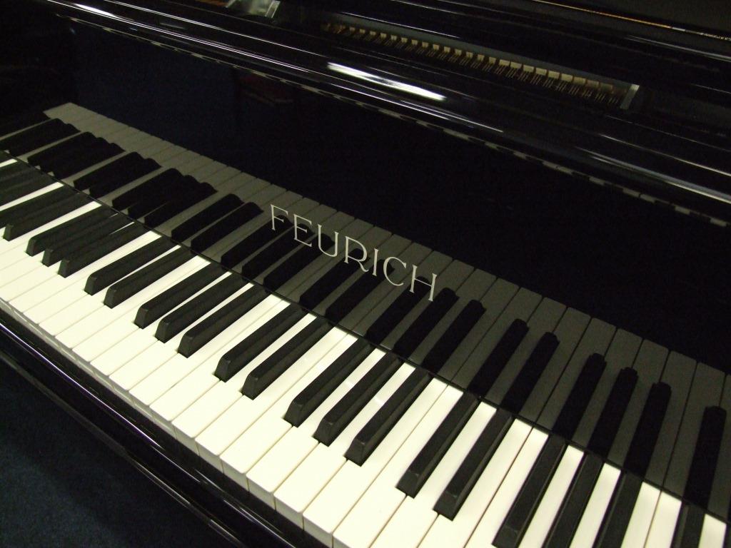Feurich piano logo and keys